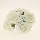 Foam Georgia Rose x 6 - Bridal Ivory